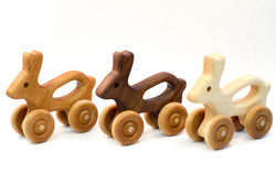 Baby's First Car - Bunny Edition